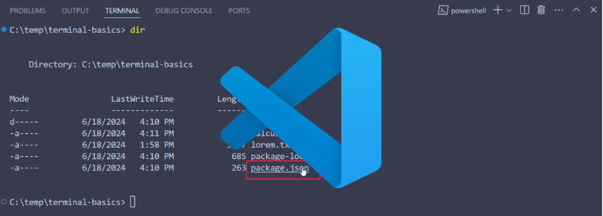 Uma captura de tela do painel do terminal do Visual Studio Code. A imagem está sobreposta pelo logotipo do VS Code e tem uma caixa vermelha em torno do arquivo package.json. No terminal, você pode ver um caminho de diretório, informações sobre arquivos e pastas.