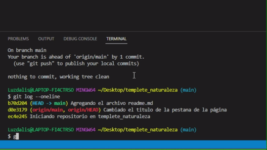 Terminal integrado executando o comando 'git push' e mostrando a mensagem de sucesso do envio das alterações para o repositório remoto no GitHub
