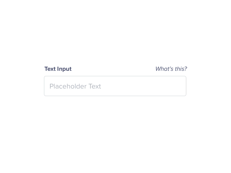 Campo de entrada de texto com o rótulo ”Text Input” à esquerda em roxo escuro, texto placeholder em cinza claro dentro do campo, e o texto ”What's this?