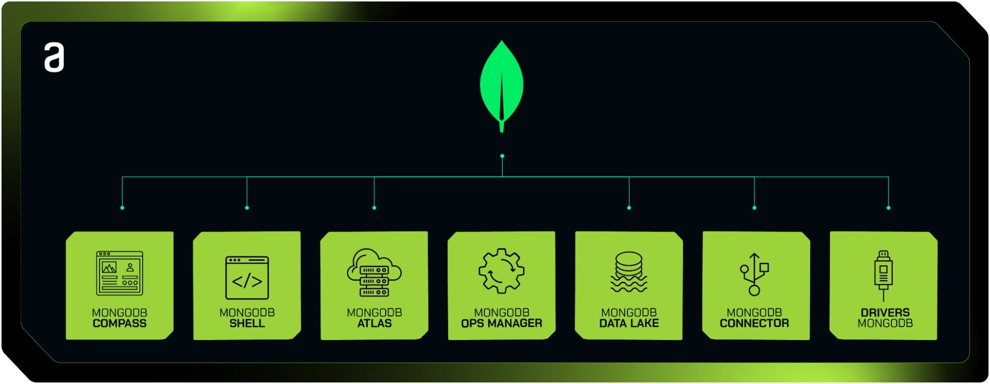 Logo de Mongodb interligado a 7 quadrados escritos nesta ordem 