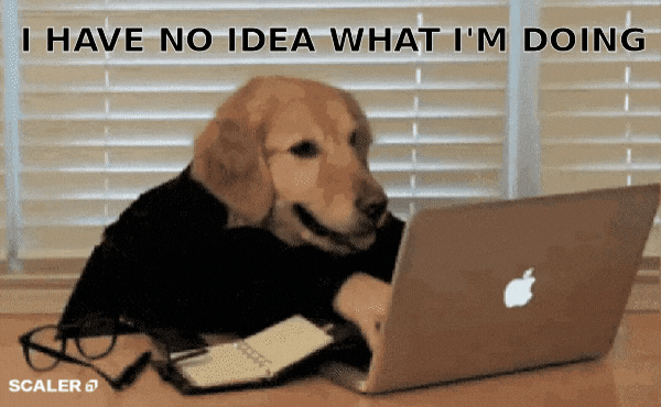 Gif que mostra um cachorro de cor marrom, vestido com uma camisa preta e com mãos humanas digitando um um notebook. Existe uma legenda inserida no gif que diz: 