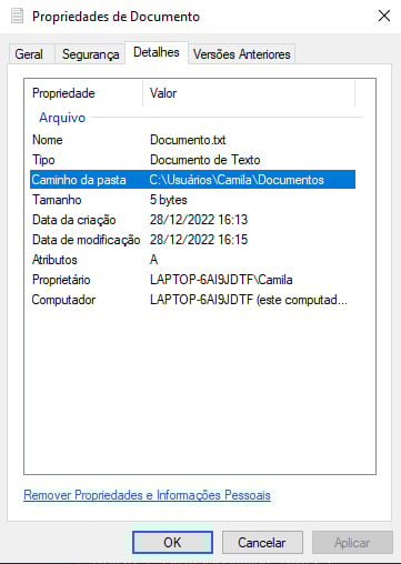 Janela com as propriedades de um documento. A aba “Detalhes” está selecionada mostrando algumas informações sobre o documento. A propriedade “Caminho da pasta” está selecionada e seu valor é `C:\Usuários\Camila\Documentos`.