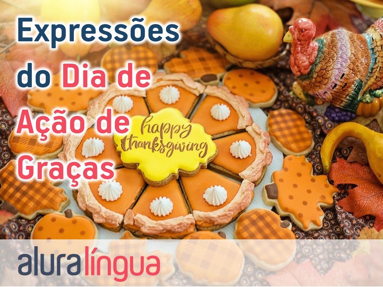 Conheça expressões do Thanksgiving #inset