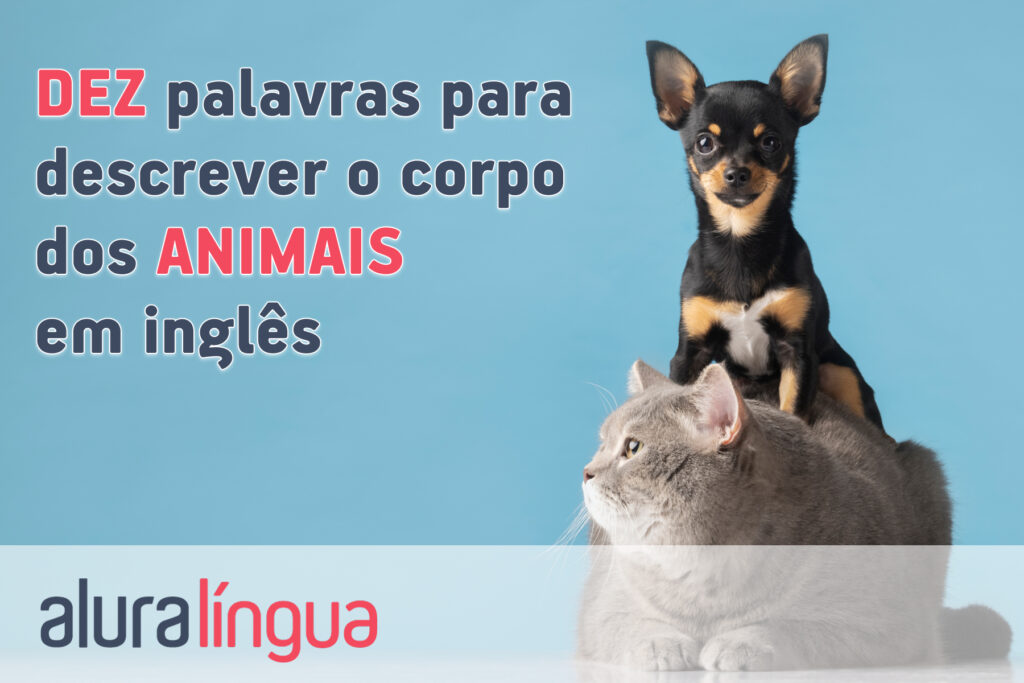 DEZ palavras para descrever o corpo dos ANIMAIS em inglês